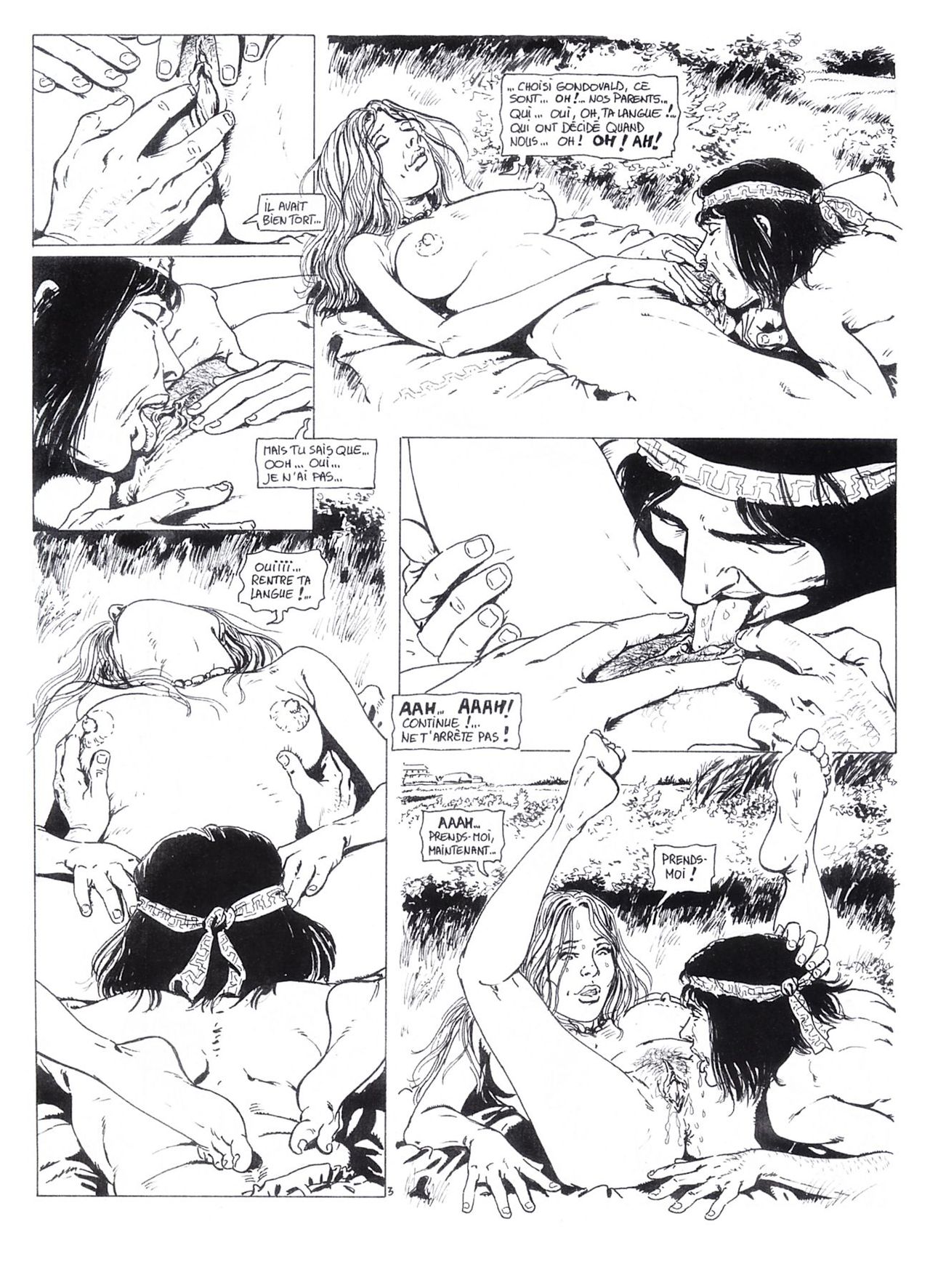Les Vikings T1 page 4 full