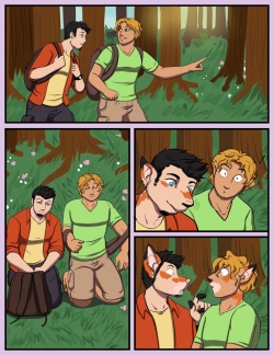 Camper's Delight