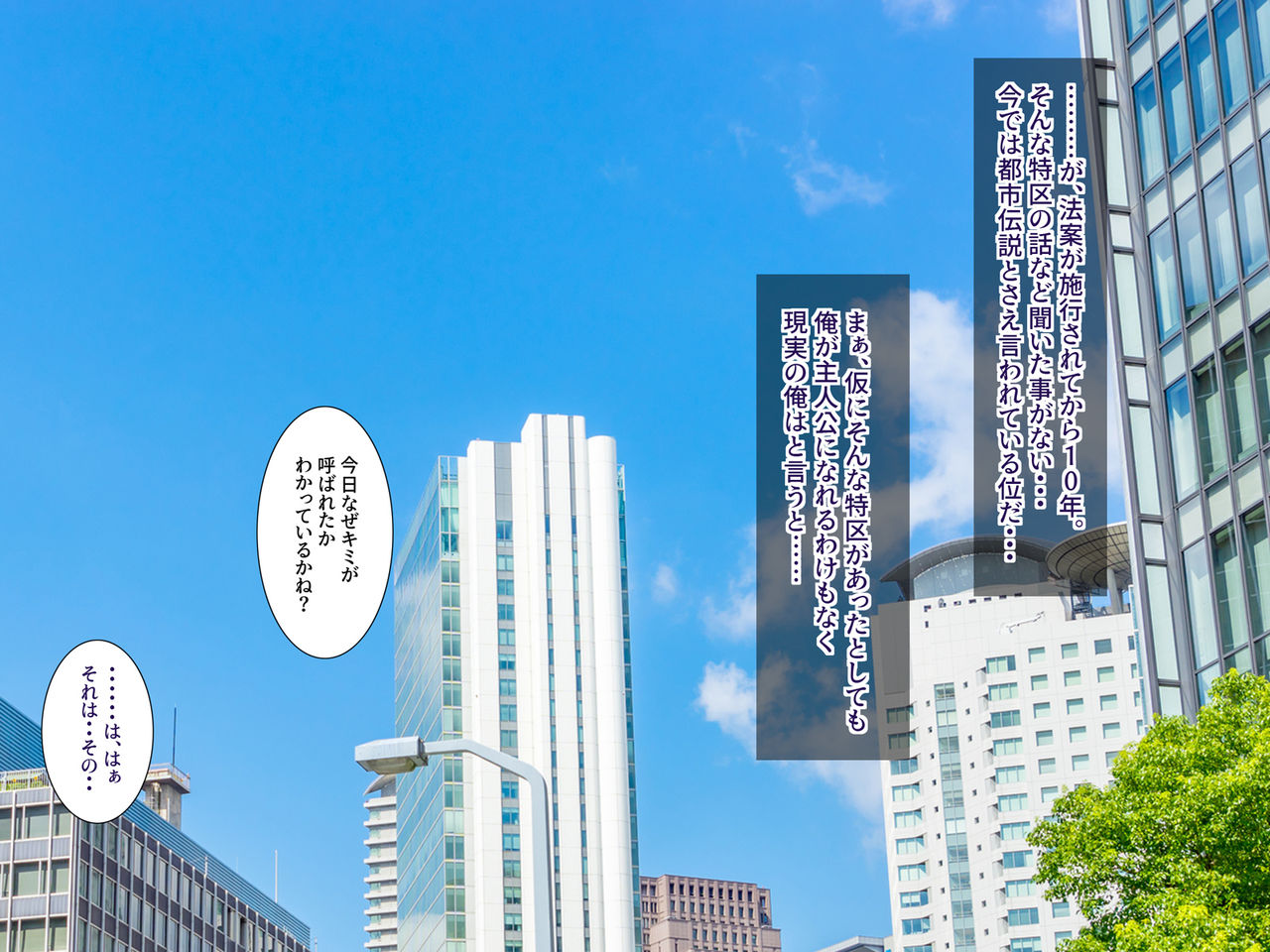 Kokka Senryaku Tokku ni Okeru Tanetsuke Gimuka Houan page 5 full