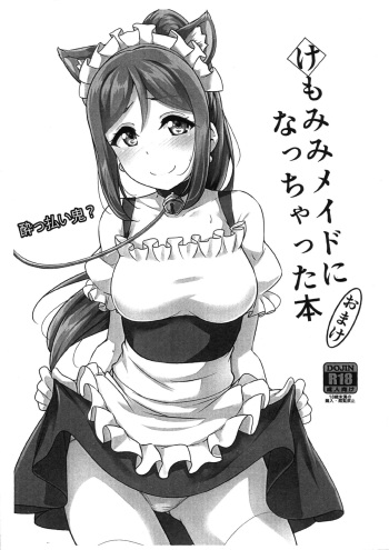 Kemomimi Maid ni Nacchatta Hon Omake cover