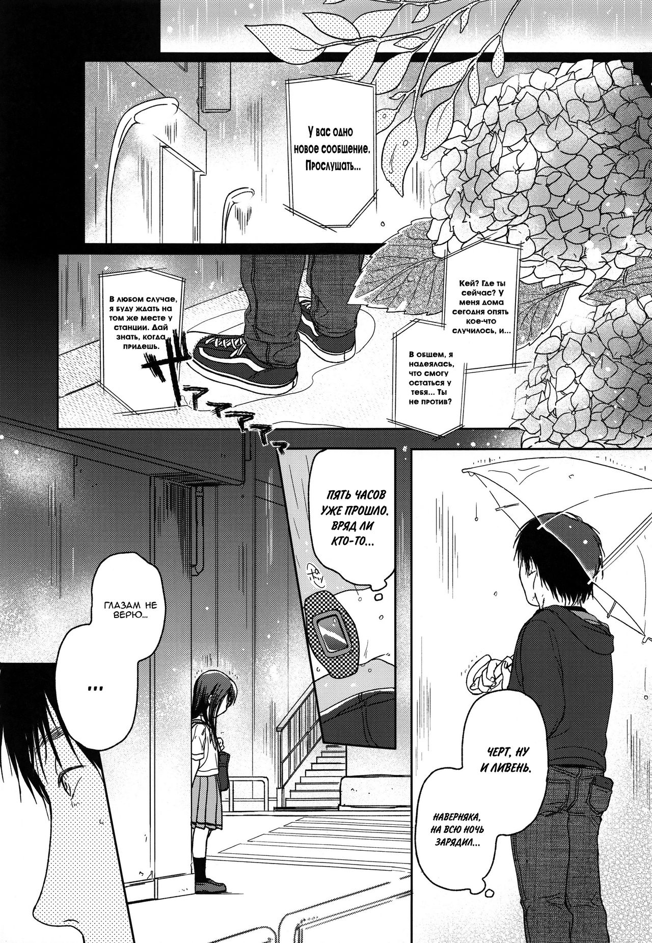 Hydrangea | Гортензия page 1 full