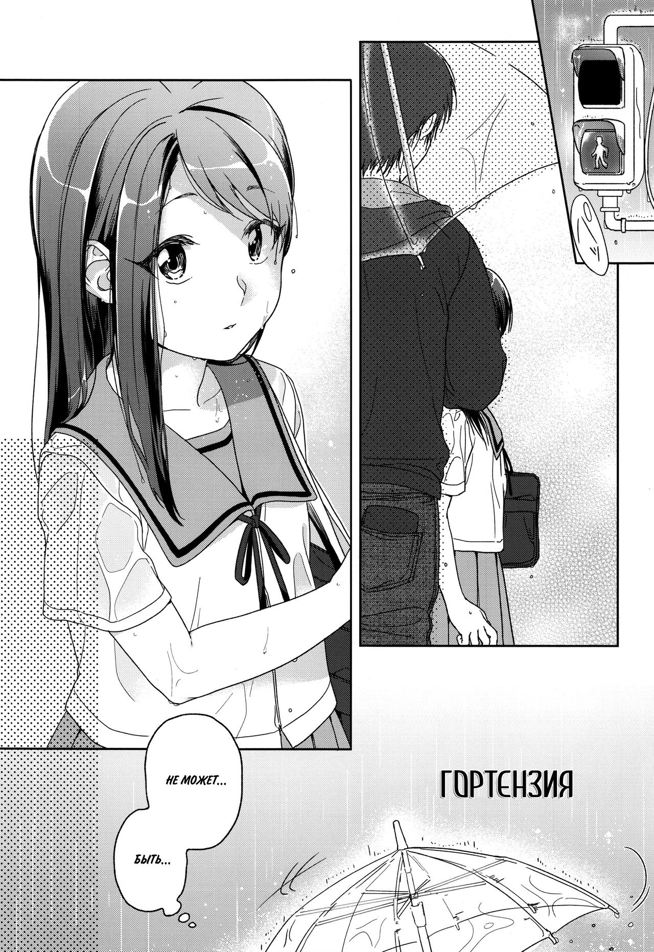Hydrangea | Гортензия page 2 full