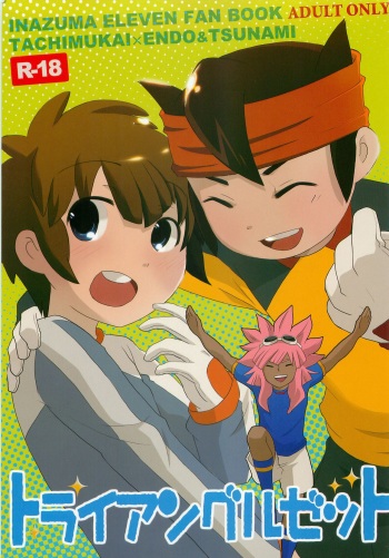 Triangle Z cover