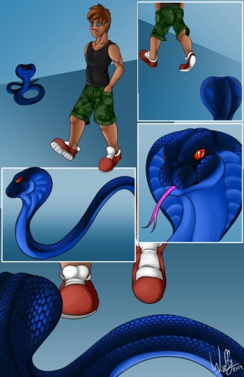 Snake Legs cover