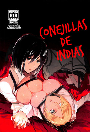 Guinea Pig | Conejillas de indias cover