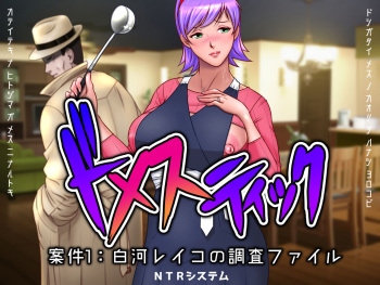 Domestic Anken 1: Shirakawa Reiko no Chousa File cover