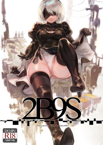 2B9S cover