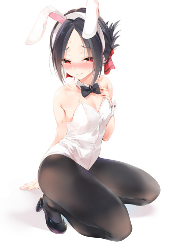 My Fetish Series -- Bunny Girls cover
