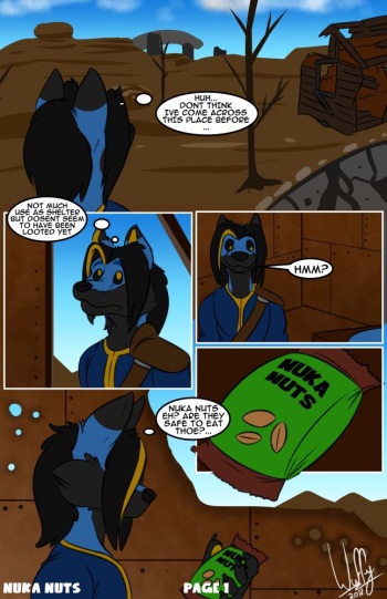 Nuka Nuts cover