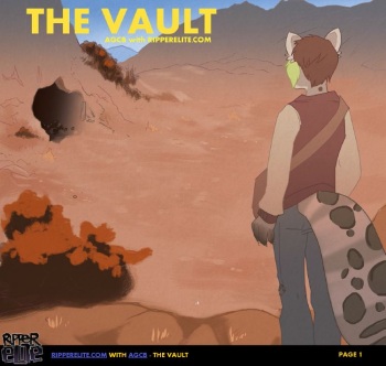 The Vault cover
