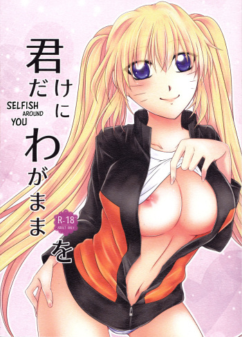 Kimi dake ni Wagamama o cover