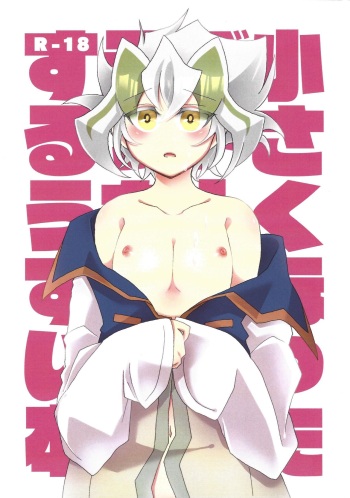 Chīsaku natta Z-ARC ni etchina koto suru usui hon cover