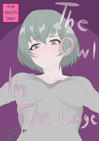 The Owl in the Cage cover