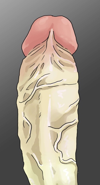 Giant cock! cover