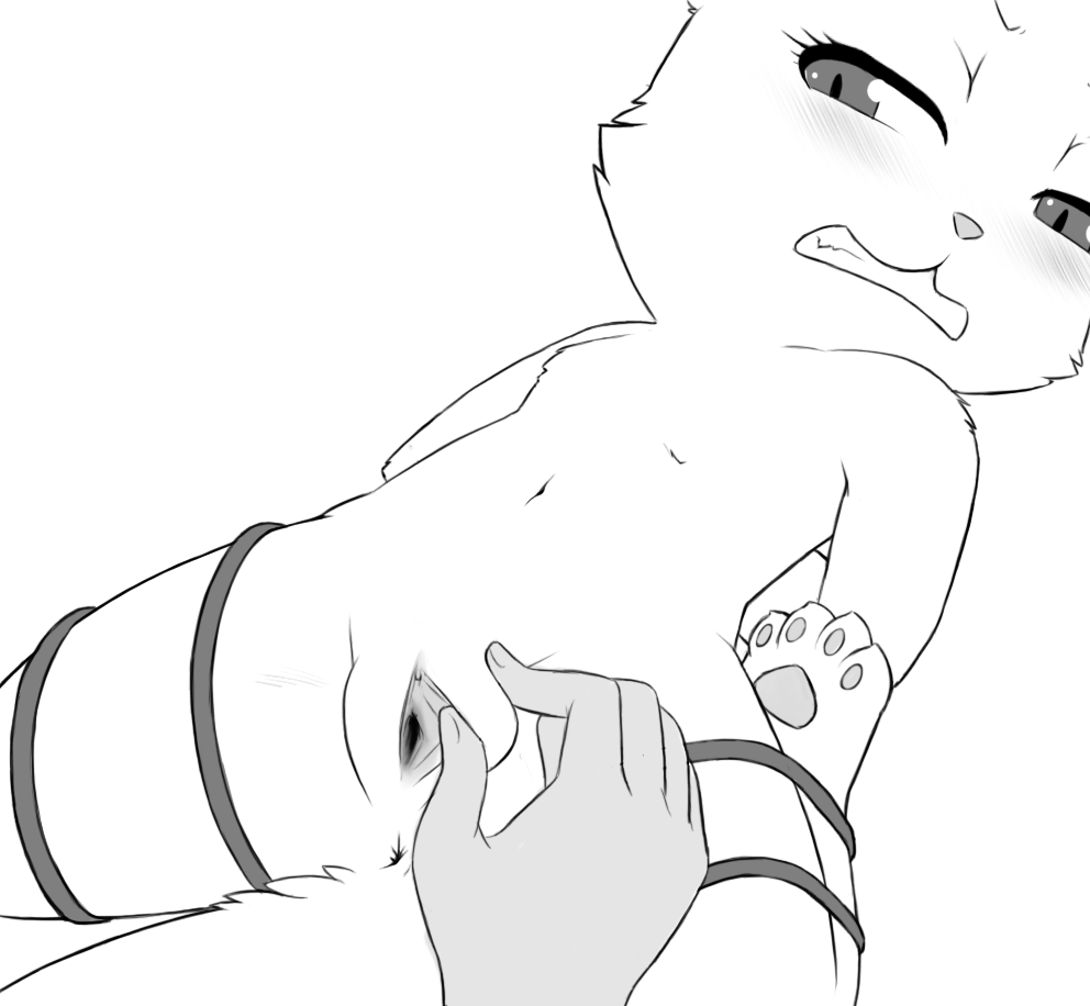 darkmirage - catbound / cat and mice page 3 full