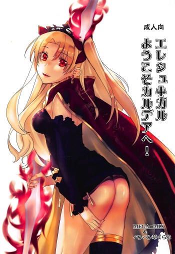 Ereshkigal Youkoso Chaldea e! cover