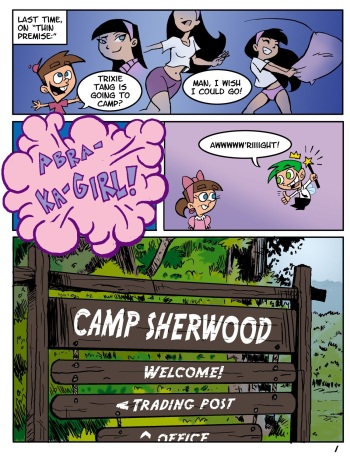 Camp Sherwood cover