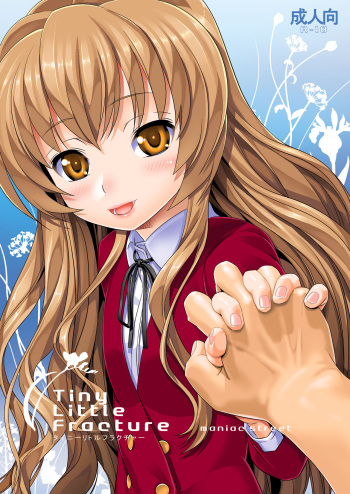 Tiny Little Fracture cover