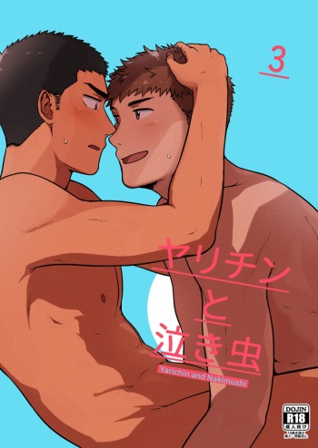 Yarichin to Nakimushi 3 cover