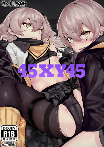 45XY45 cover