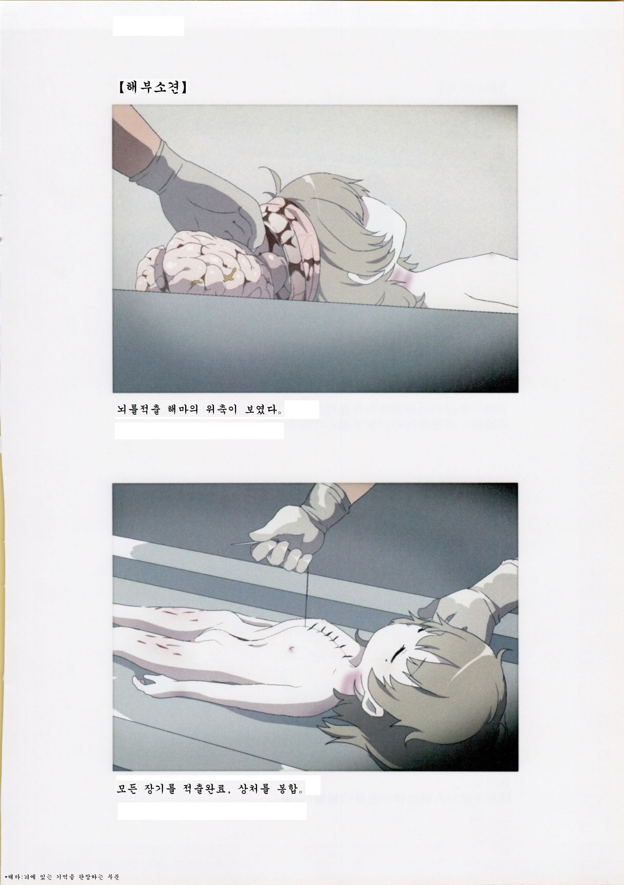Nishiogikubo Shoujo Satsugai Jiken Shihou Kaibou Kiroku | 니시오기쿠보 소녀 살해사건 사법해부기록 page 9 full