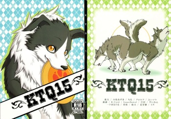 KTQ 15 cover