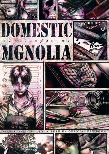DOMESTIC MGNOLIA cover