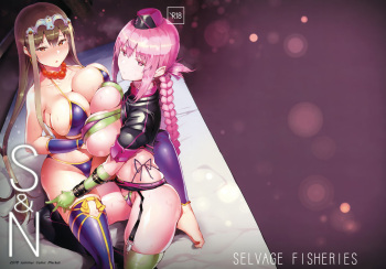 S&amp;N cover
