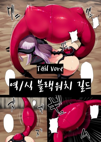 Marunomi Musume | 테일 보어 cover