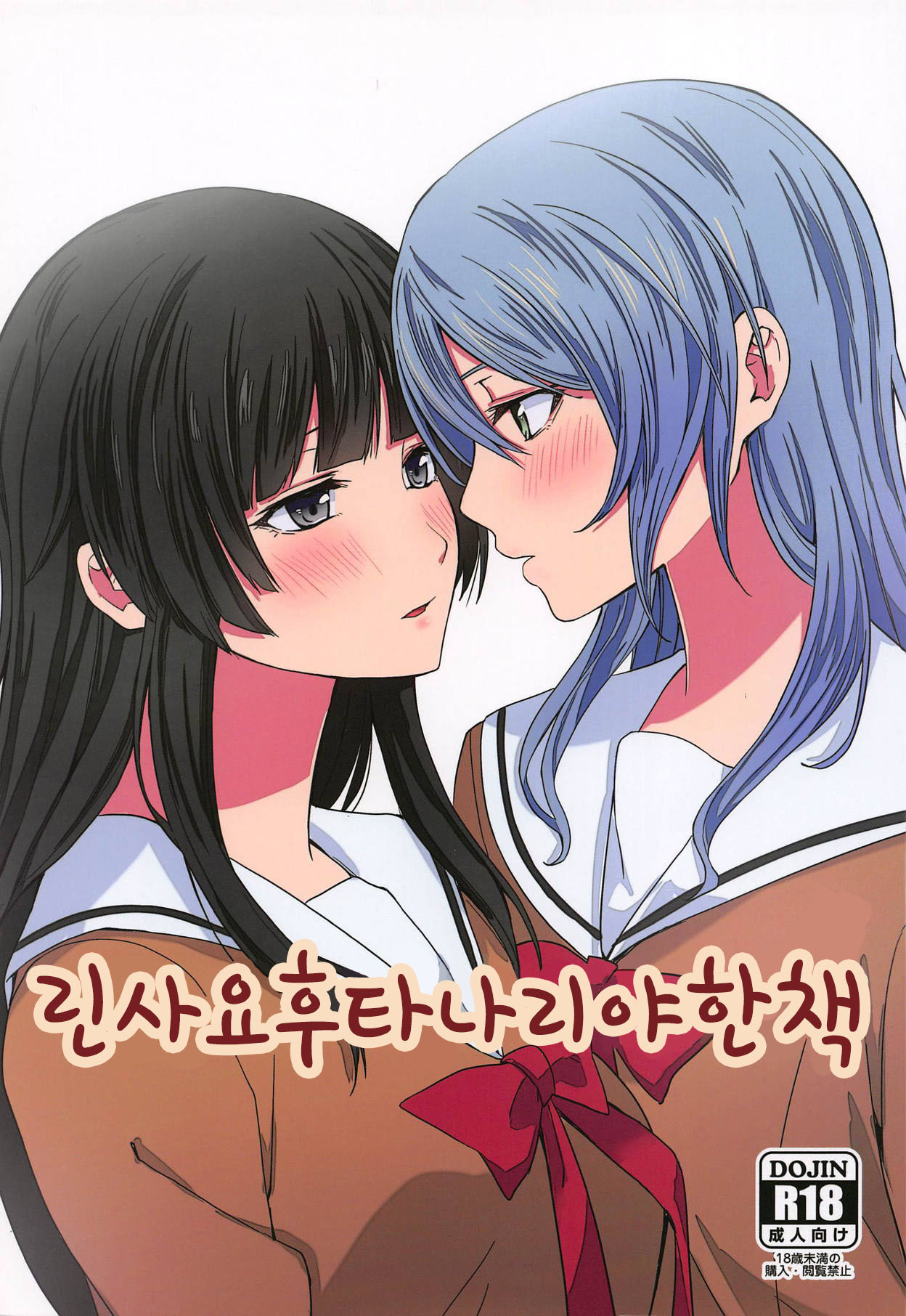 RinSayo Futanari Ecchi Bon | 린사요 후타나리 야한 책 page 1 full