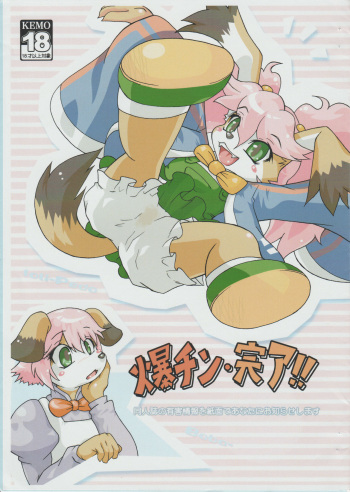 Bakuchin Kanryou!! cover