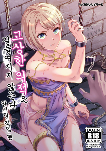 Kedakaki Gizoku wa Kainarasarenai Yamiichi Sennyuu Hen | 고상한 의적은 길들여지지 않는다 암시장 잠입 편 cover