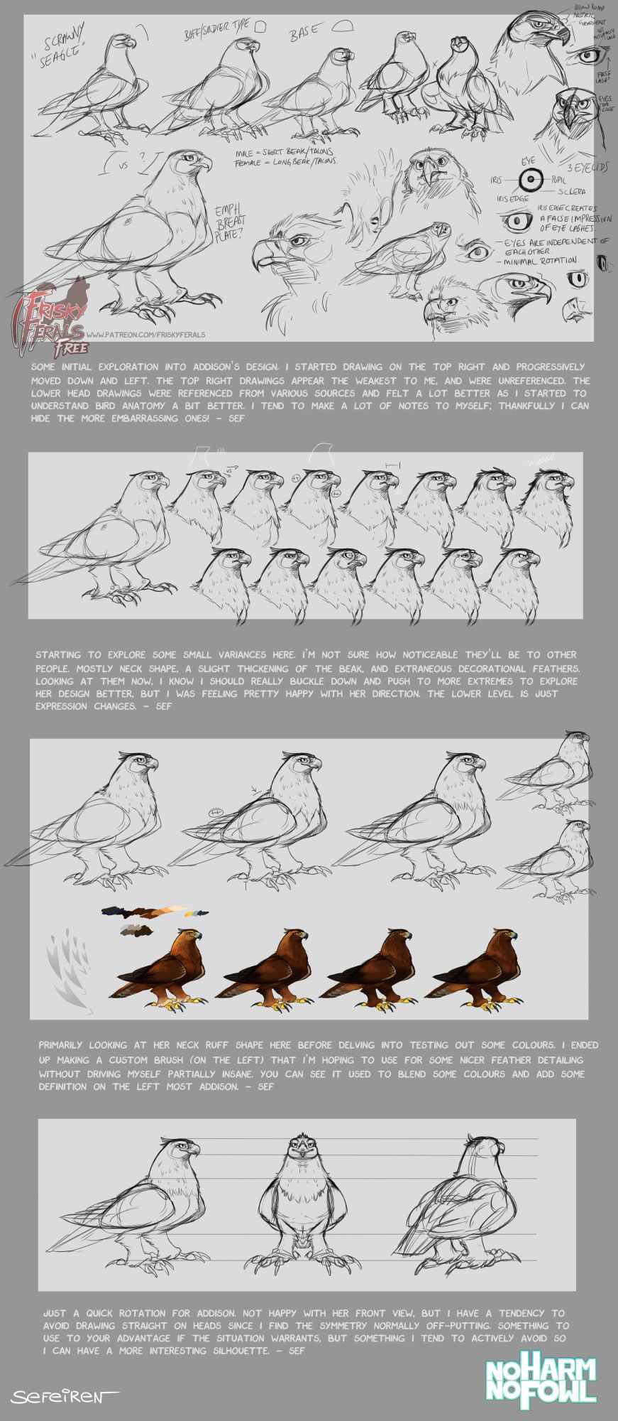 No Harm No Fowl page 3 full