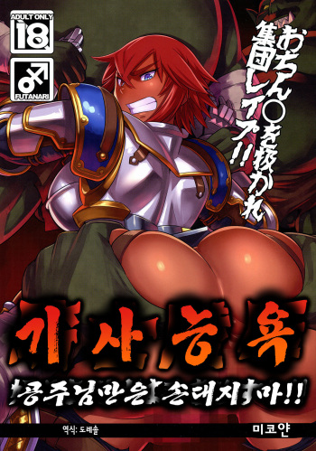 Kishi Ryoujoku Hime-sama dake wa Te o Dasuna!! | 기사능욕 공주님만은 손대지 마!! cover