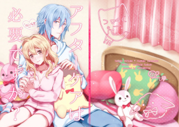 Aftercare wa Hitsuyou desu ka? cover