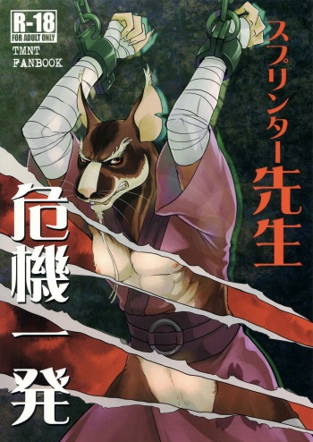 Splinter Sensei Kikiippatsu | Splinter Sensei's Crisis cover