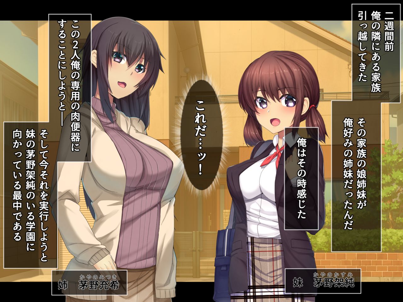 Otonari ni Hikkoshikita Bijin Shimai o Saimin ♀ Choukyou Shite Yatta Imouto. Chino ka Jun no Baai page 9 full