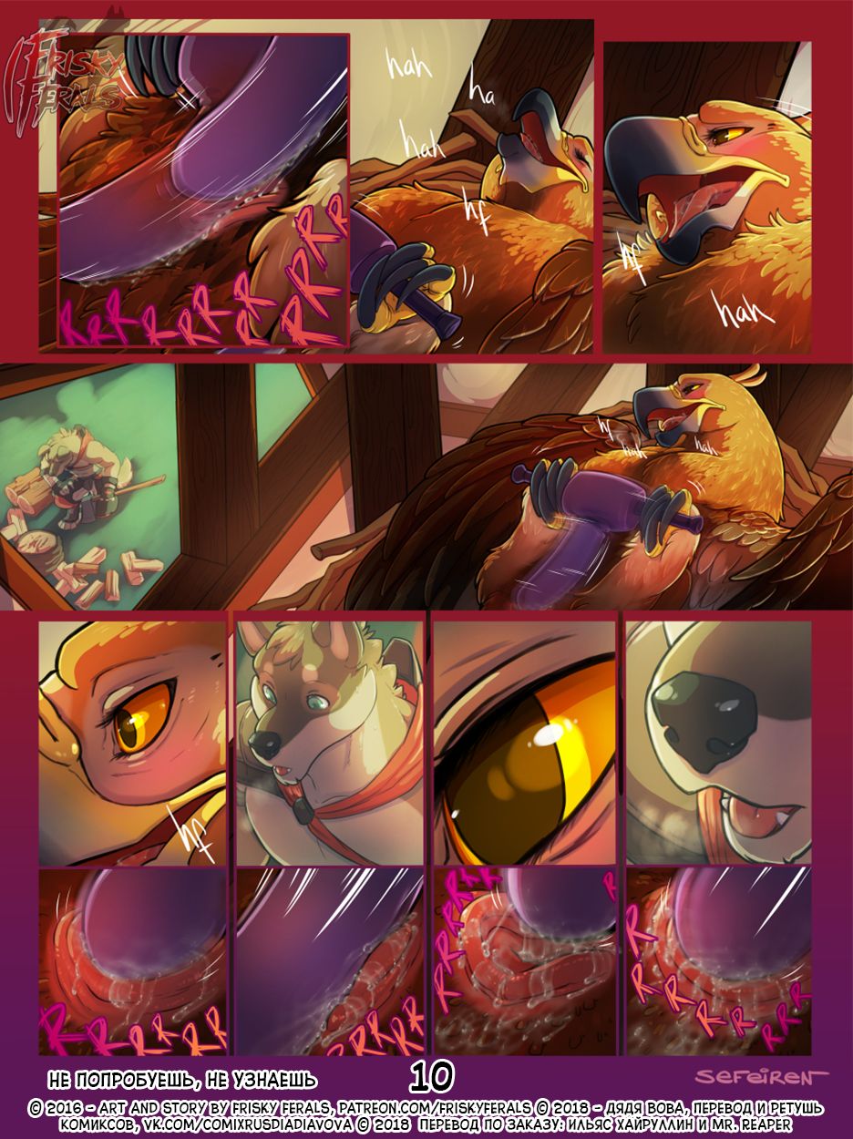 No Harm No Fowl | Не попробуешь, Не узнаешь page 10 full