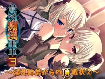 Saishuu Chikan Densha 3 - Inran Shitei kara no Chousenjou - cover