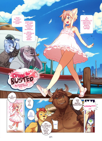 Cross Busted cover