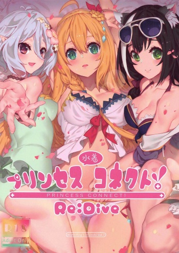 Princess Mizugi Connect! Re:Dive cover