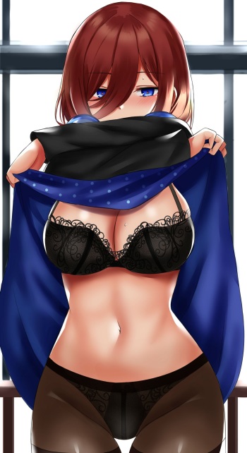 Farys cover