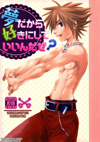 Yume Dakara Suki ni Shite ii nda ze? cover