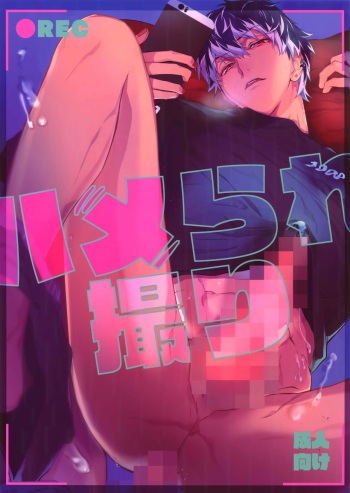 Hame Rare Tori cover
