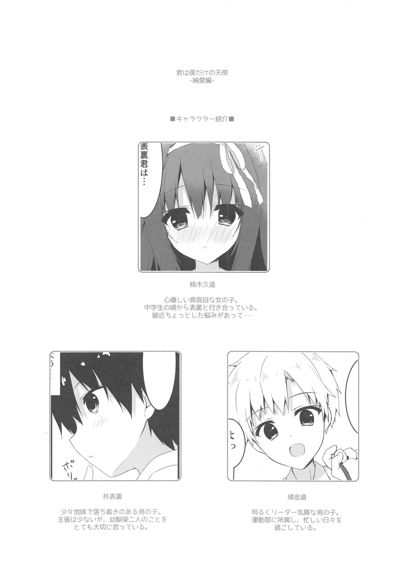 Kimi wa Boku dake no Tenshi -Junai Hen- page 3 full