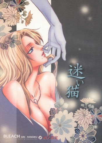 Mayoi Neko cover