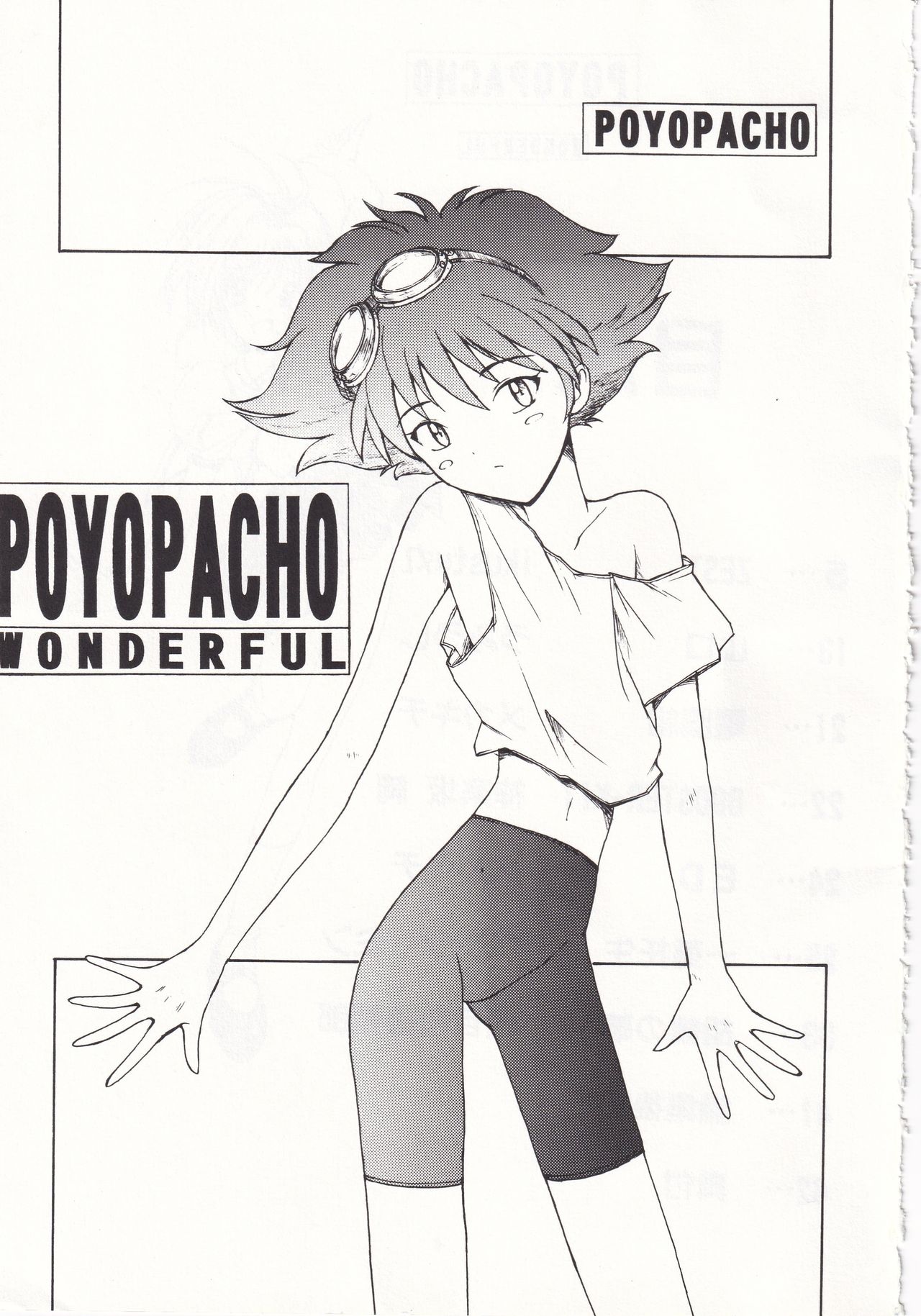 POYOPACHO WONDERFUL page 2 full