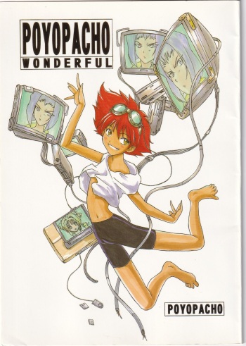 POYOPACHO WONDERFUL cover