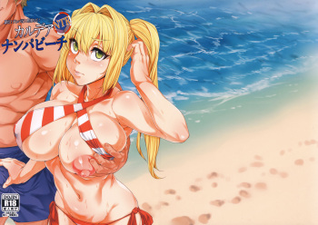 Chaldea NTR Nanpa Beach cover