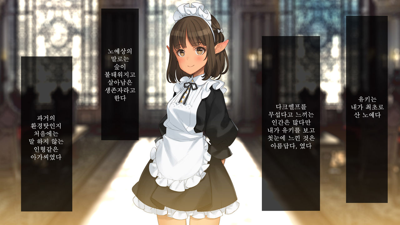 Himitsu no Shoukan de Ajin Maid o HD | 비밀의 창관에서 아인 메이드를 page 10 full